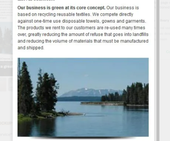 Medi Cleanse Web Design Portfolio